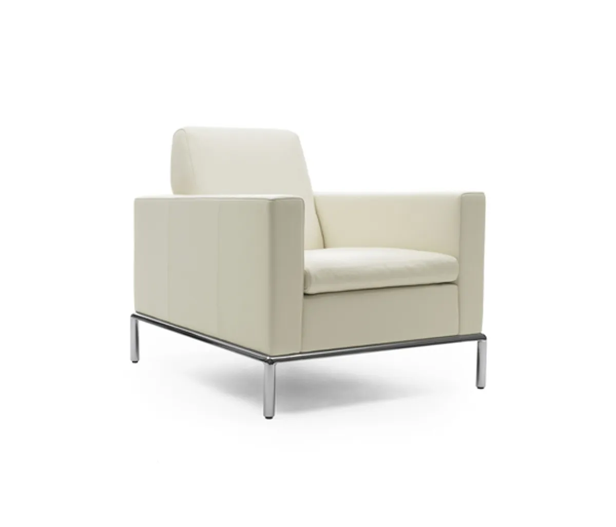 Sessel "DS 4" von De Sede