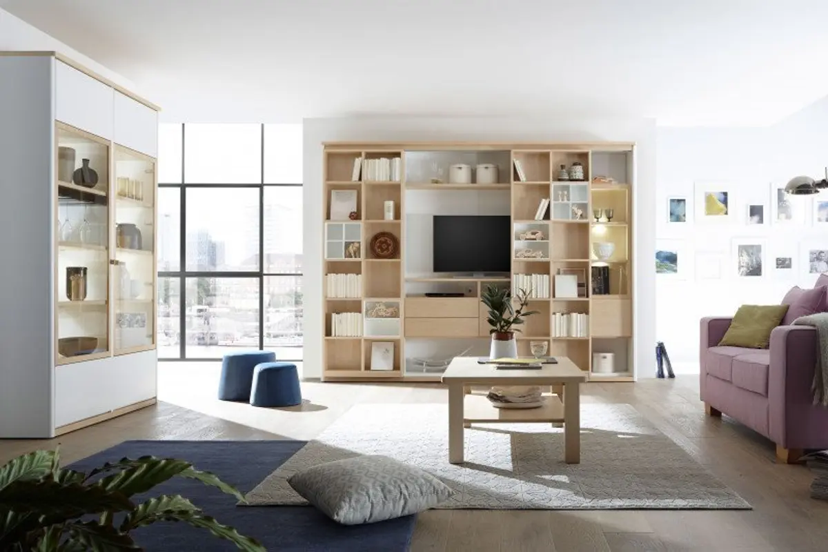 Regal-System mit Vitrine und Couchtisch SOLUTION