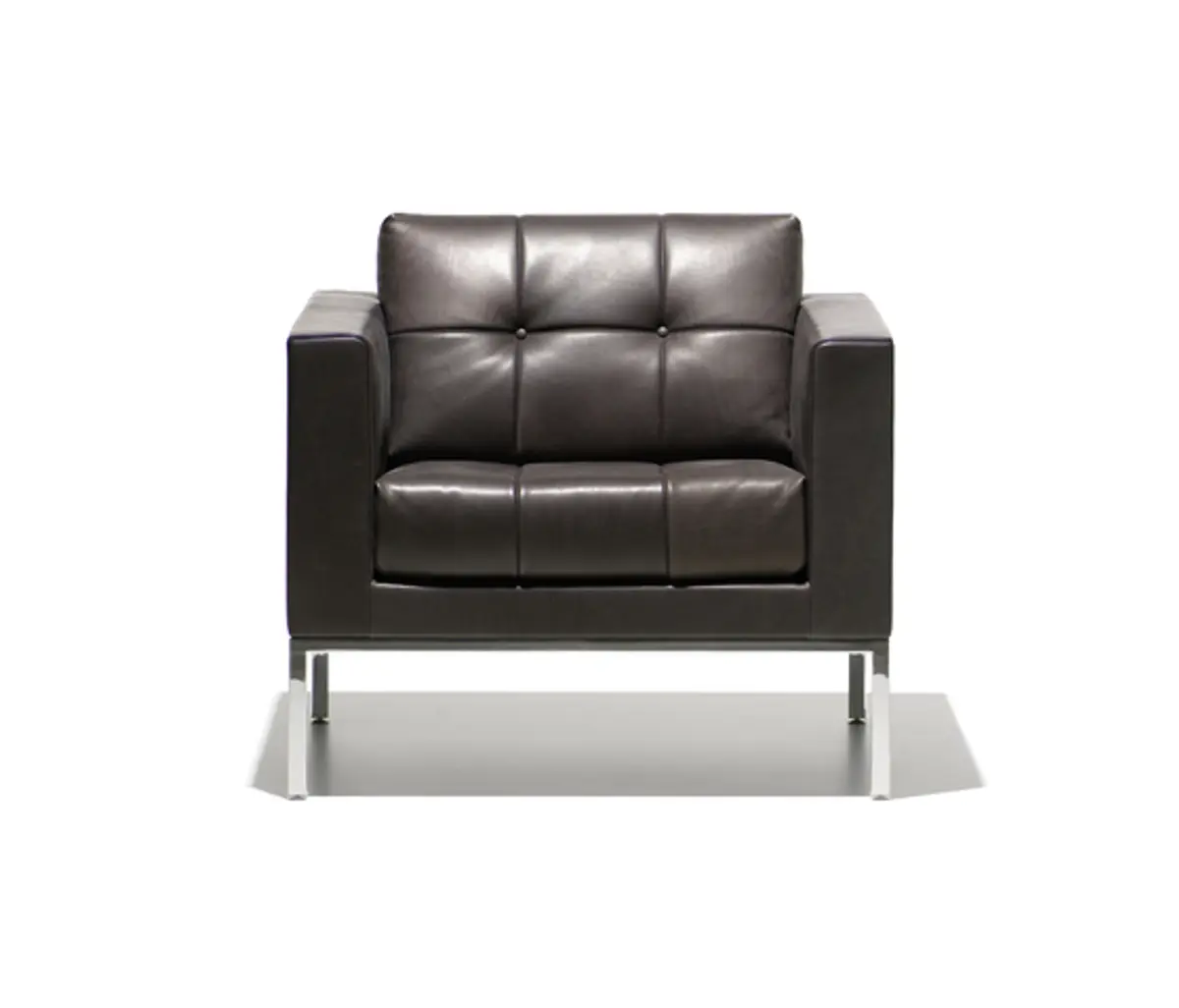 Sessel "DS 159" von De Sede