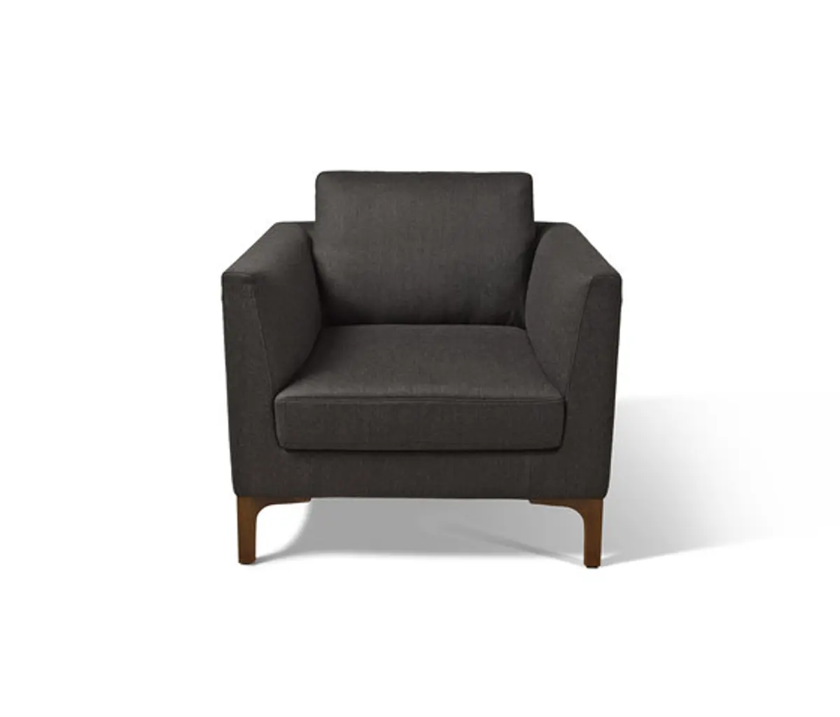 Sessel "DS 49" von De Sede