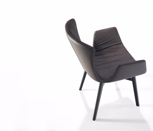 Stuhl "Dexter | 2056" von Draenert