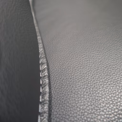 Leolux Sessel Bora-Beta