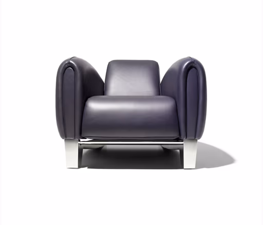 Sessel "DS 57" von De Sede