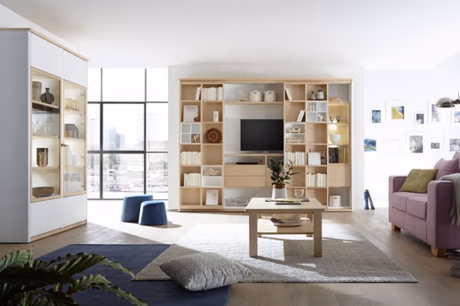 Regal-System mit Vitrine und Couchtisch SOLUTION