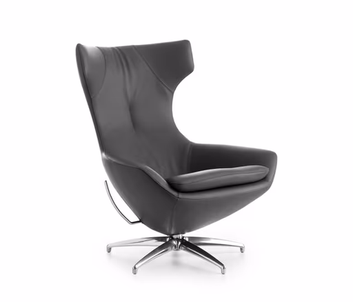 Sessel "Caruzzo" von Leolux