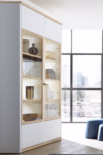 Regal-System mit Vitrine und Couchtisch SOLUTION