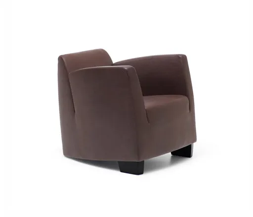 Sessel "DS 2620 SeNa" von De Sede