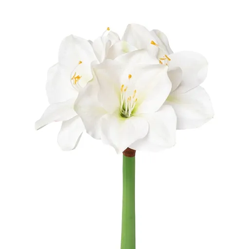 Amaryllis weiß 56 cm Kunstblume Deko Kunstpflanze 