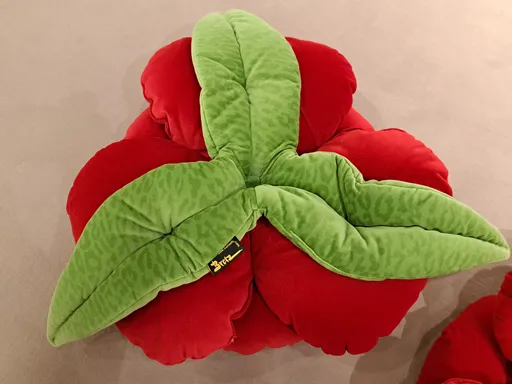 Dekokissen "ROSE" von Bretz® - 2er-Set