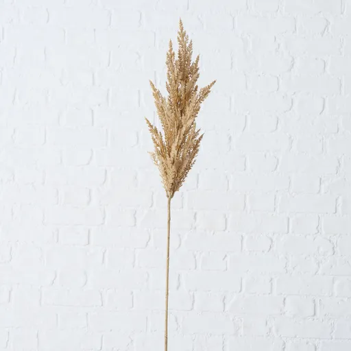Deko Pampasgras groß 95cm Trockenblumen Hellbraun natur 2fach sort.