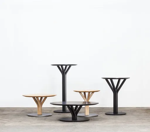 Tisch "BLOOM" von Ton