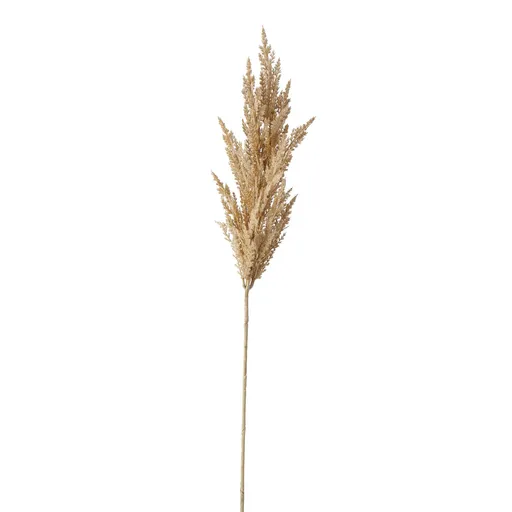 Deko Pampasgras groß 95cm Trockenblumen Hellbraun natur 2fach sort.