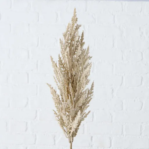 Deko Pampasgras groß 95cm Trockenblumen Hellbraun natur 2fach sort.