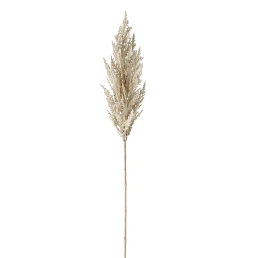 Deko Pampasgras groß 95cm Trockenblumen Hellbraun natur 2fach sort.