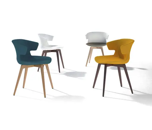 Stuhl "Cove solid wood base" von Quadrifoglio