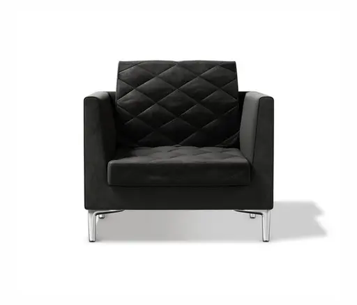 Sessel "DS 48" von De Sede