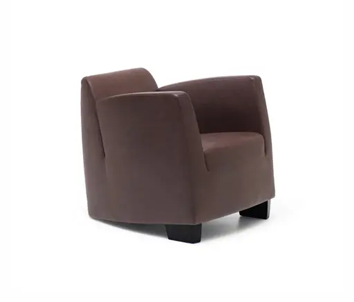 Sessel "DS 2620 SeNa" von De Sede