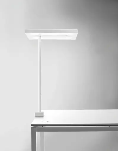 Tischleuchte "Linea " von Quadrifoglio