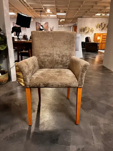 Natura Edmonton - 6 Stühle 