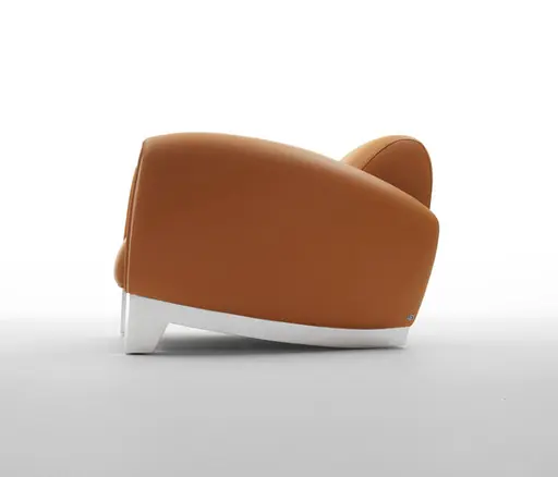Sessel "DS 57" von De Sede
