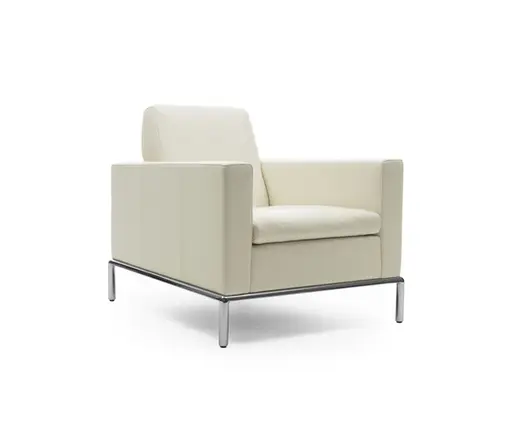 Sessel "DS 4" von De Sede