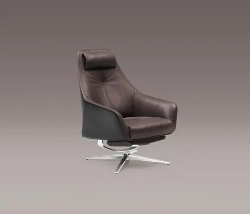 Sessel "DS 277" von De Sede