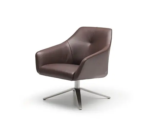 Sessel "DS 278" von De Sede