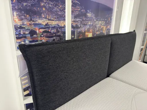 Polsterbett FeMyDream von Femira 