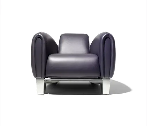 Sessel "DS 57" von De Sede