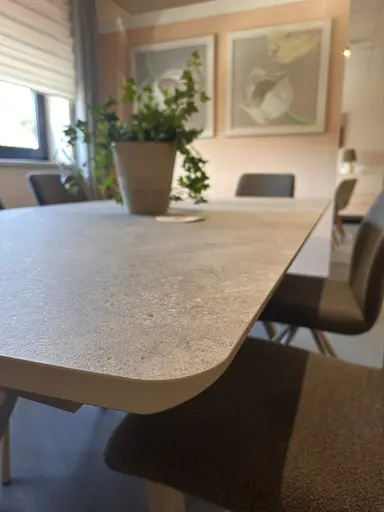 Tisch Global Sedana