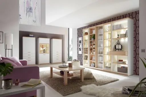 Schrank- und Vitrinenkombi SOLUTION