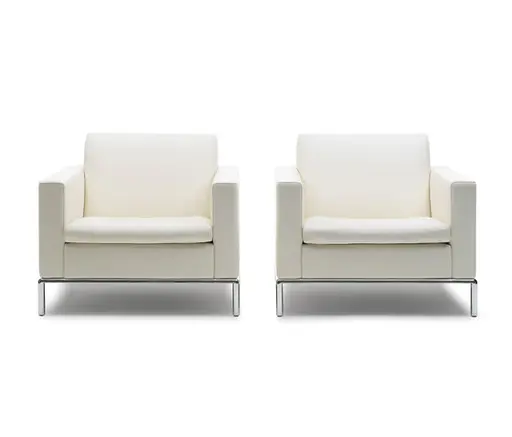 Sessel "DS 5" von De Sede