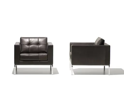 Sessel "DS 159" von De Sede