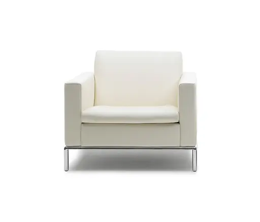 Sessel "DS 5" von De Sede