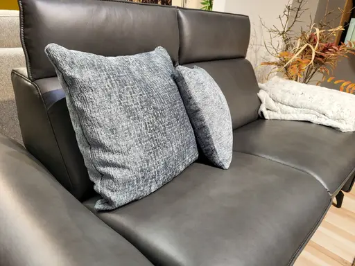 Ledercouch Contur