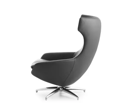 Sessel "Caruzzo" von Leolux