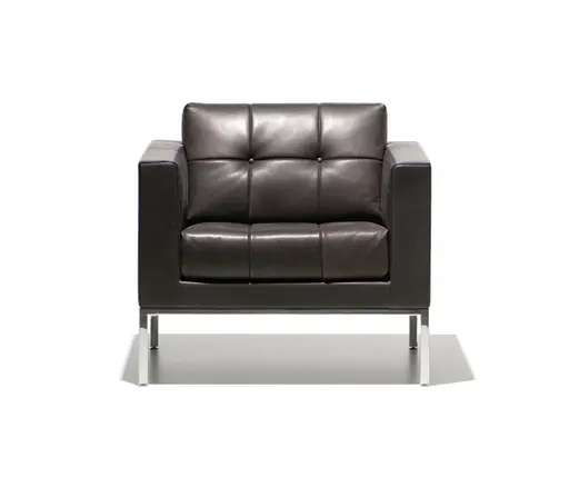 Sessel "DS 159" von De Sede