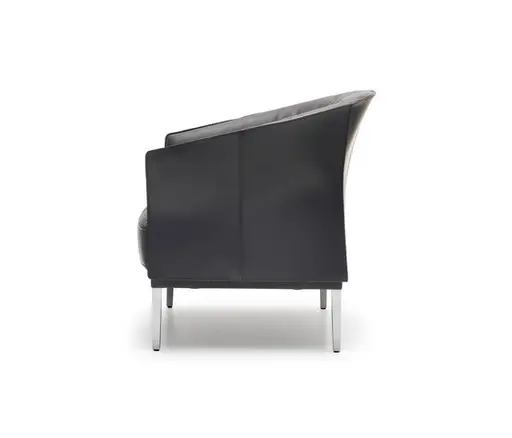 Sessel "DS 291" von De Sede