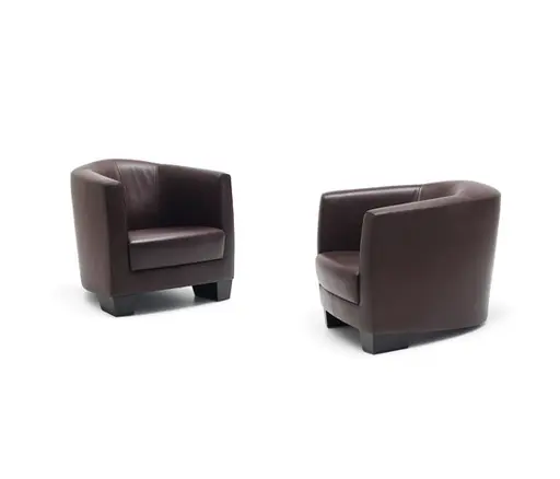 Sessel "DS 2610 DiDo" von De Sede