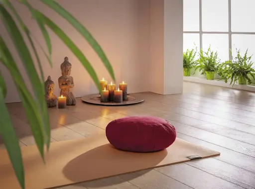 Dormiente Kissen Yogapillow