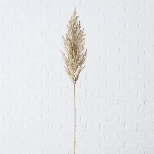 Deko Pampasgras groß 95cm Trockenblumen Hellbraun natur 2fach sort.