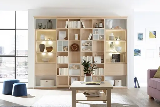 Regal-System mit Vitrine und Couchtisch SOLUTION