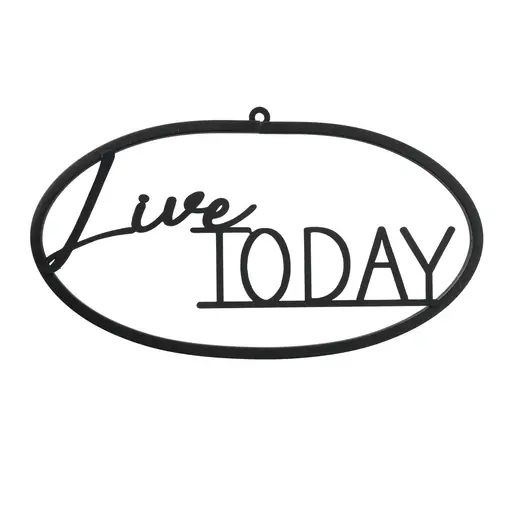 Blechschild mit Spruch - Dekoschild Metall von Boltze Live Today