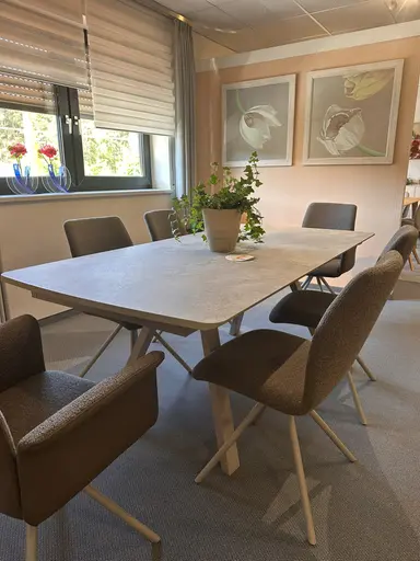 Tisch Global Sedana
