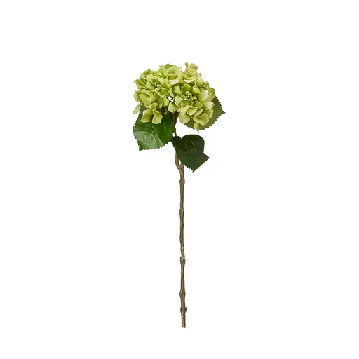 Deko Hortensie grün