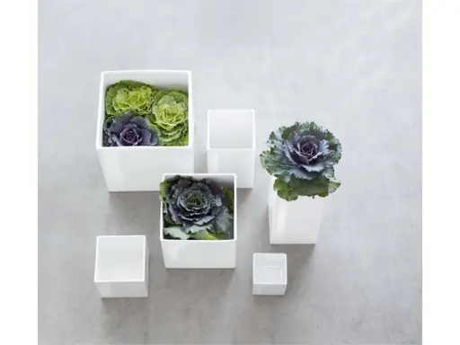 ASA Vase Quadro 11,5 x 11,5 cm