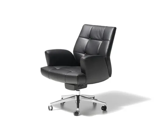 Sessel "DS 257" von De Sede