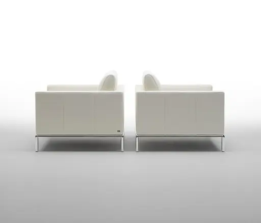 Sessel "DS 5" von De Sede