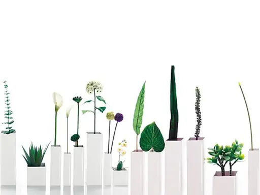 ASA Übertopf Quadro 18x18 cm