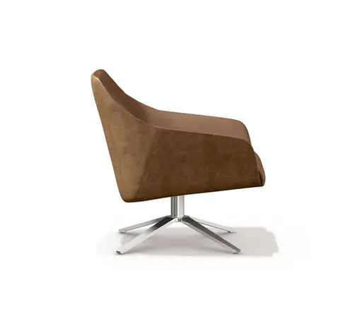 Sessel "DS 278" von De Sede